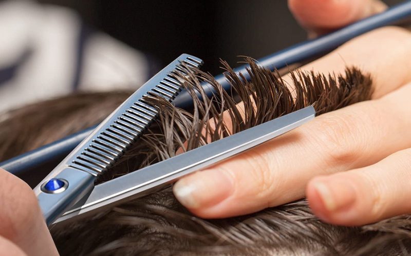 Scissors Thinning Shears: History, Uses, and Buying Guide