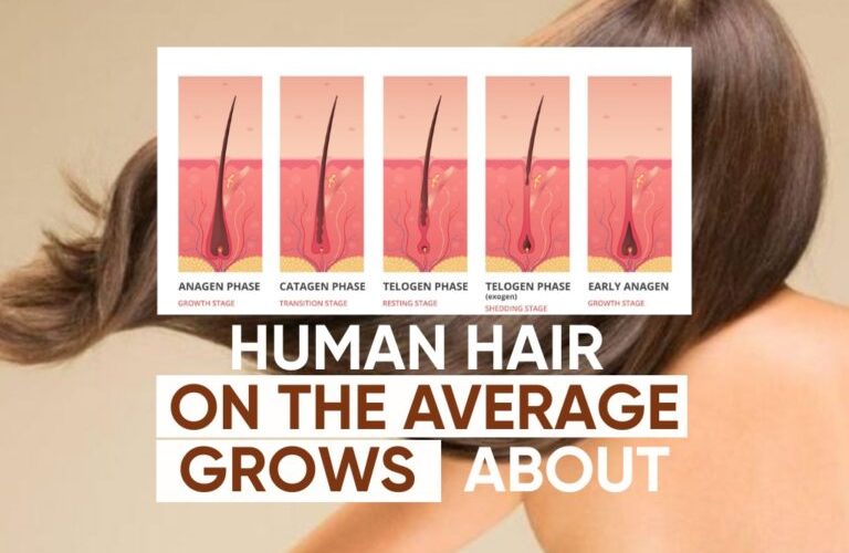 How Much Hair Does a Human Have: Average Count and Key Facts