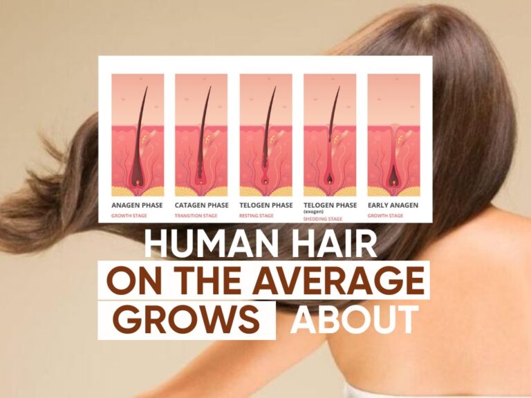 How Much Hair Does a Human Have: Average Count and Key Facts
